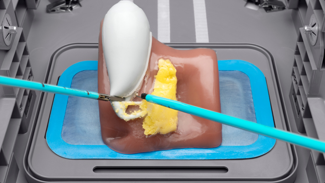 Conductive Laparoscopic Cholecystectomy Simulation Model