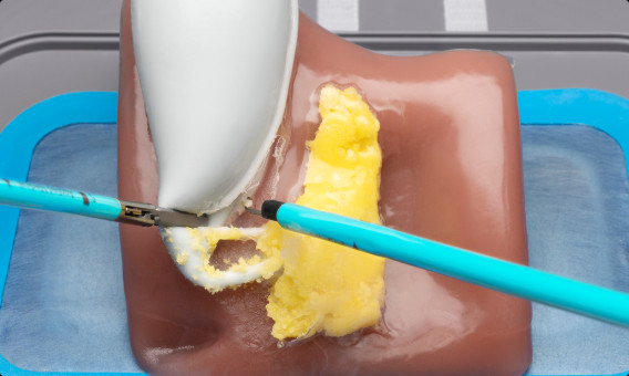 Simsei Laparoscopic Cholecystectomy Model