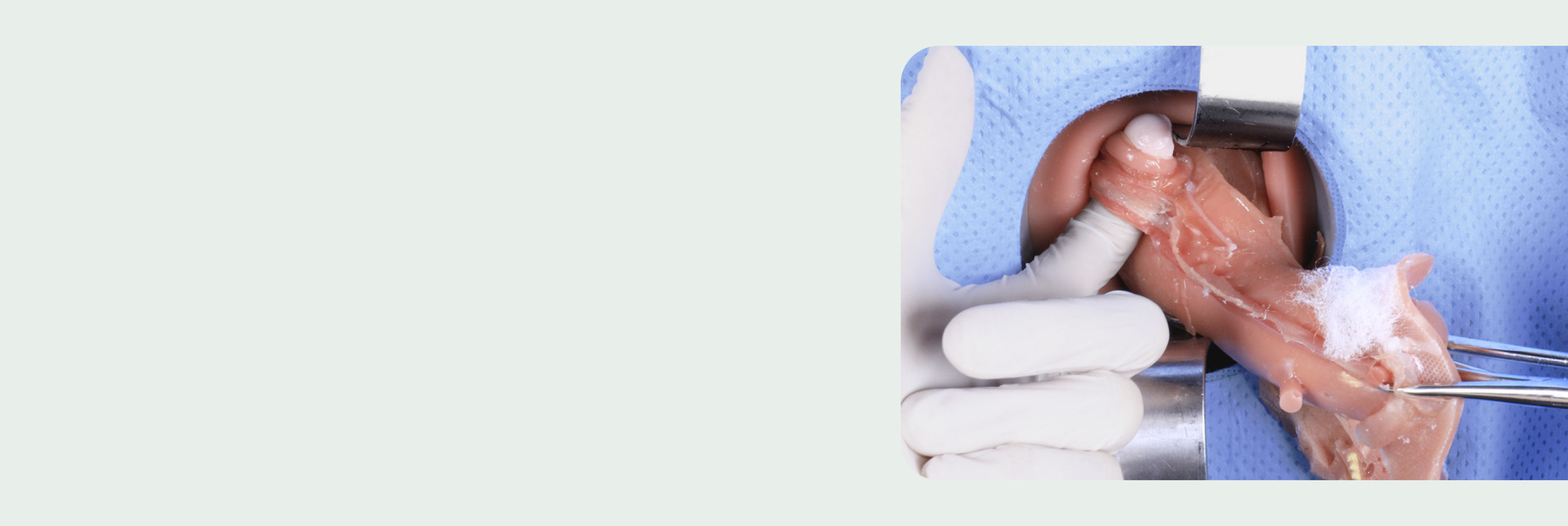 Connect with Simsei at the 2024 CREOG & APGO Annual Meeting