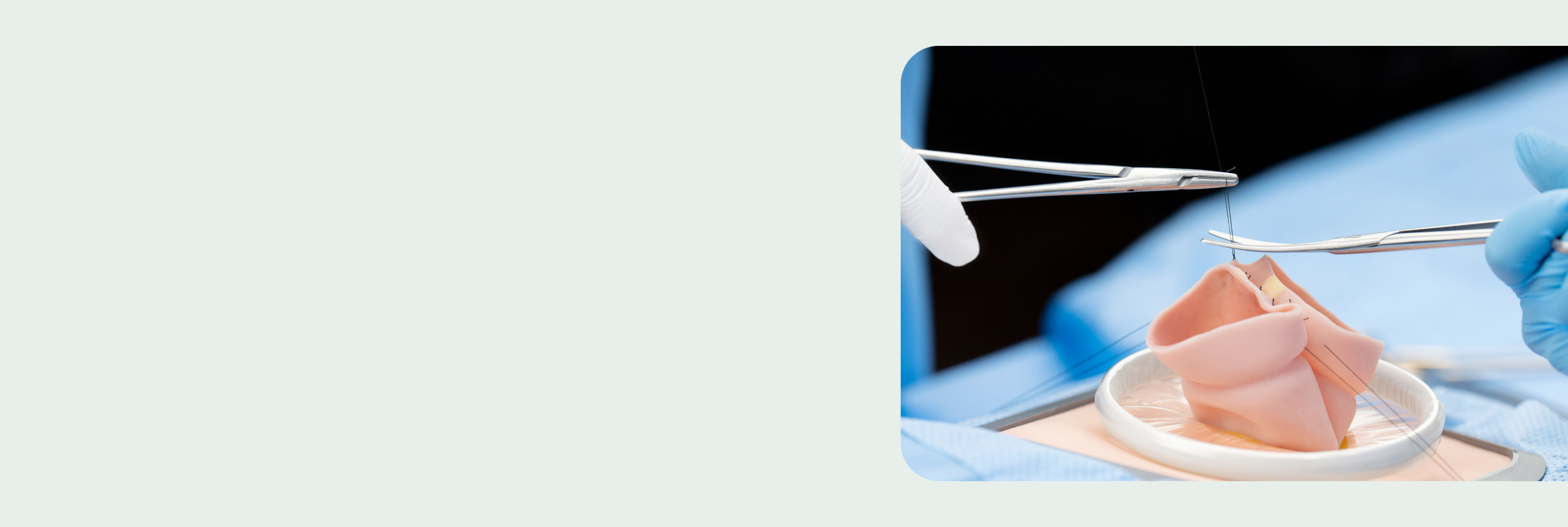 Experience Simsei Simulation's Expanded General Surgery Curriculum